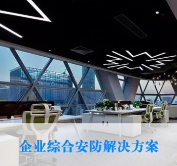 企業綜合安防解決方案